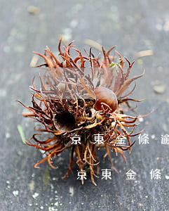 京東金條逾期8天強(qiáng)制還款 京東金條逾期10天了、可以先還一部分的款嗎